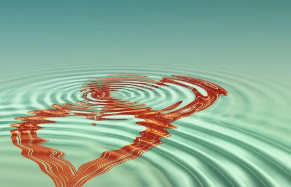 Casino Black Label Support